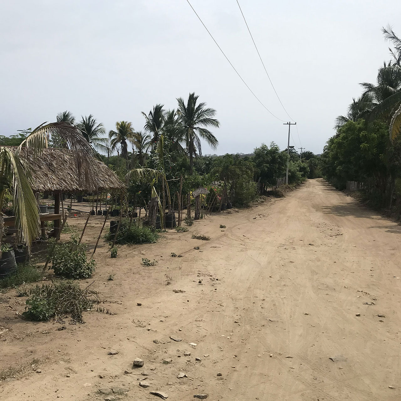 venta de terreno en Mazunte